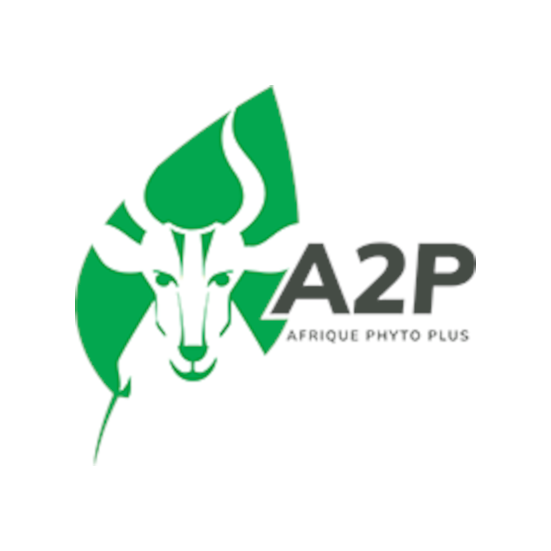 A2P-AFRICA PHYTO PLUS POUR UNE INSPECTION DE QUALITE REUSSIE
