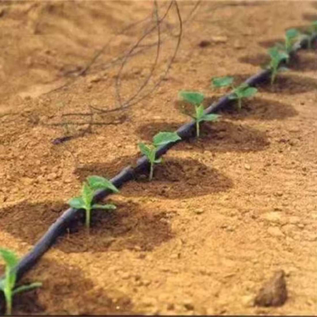 TUBE D'IRRIGATION GOUTTE À GOUTTE DG-1 MUYUAN